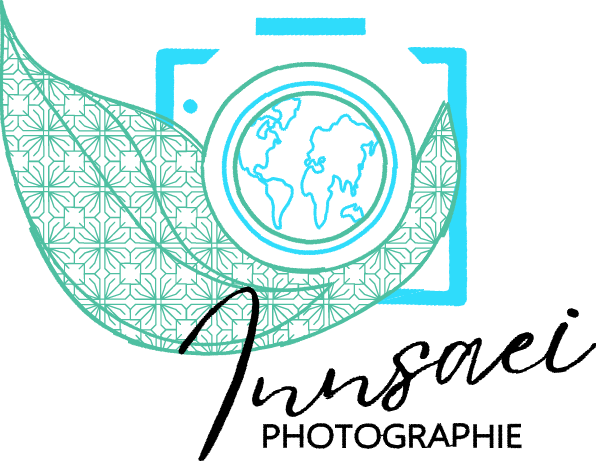 Logo ou illustration du site